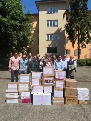Foto socie e soci in un progetto di servizio
